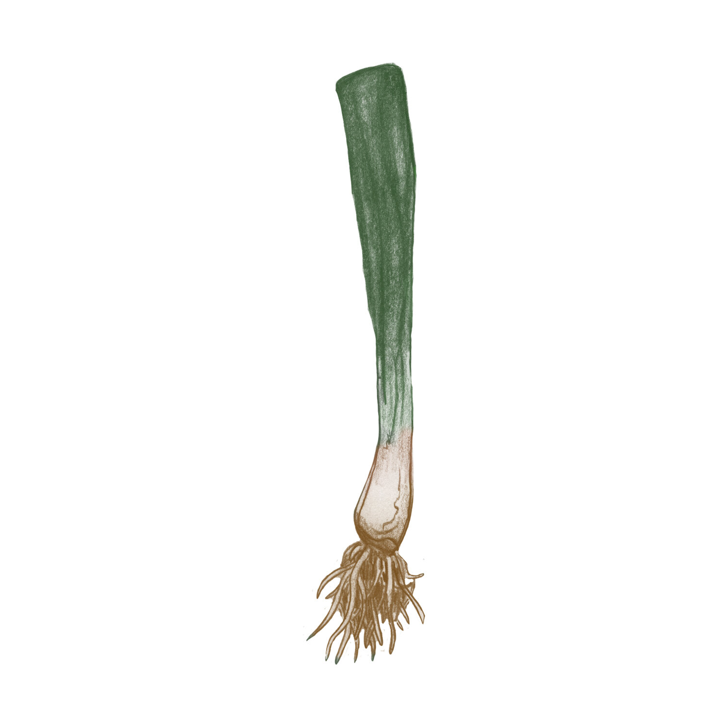 Green Onion 