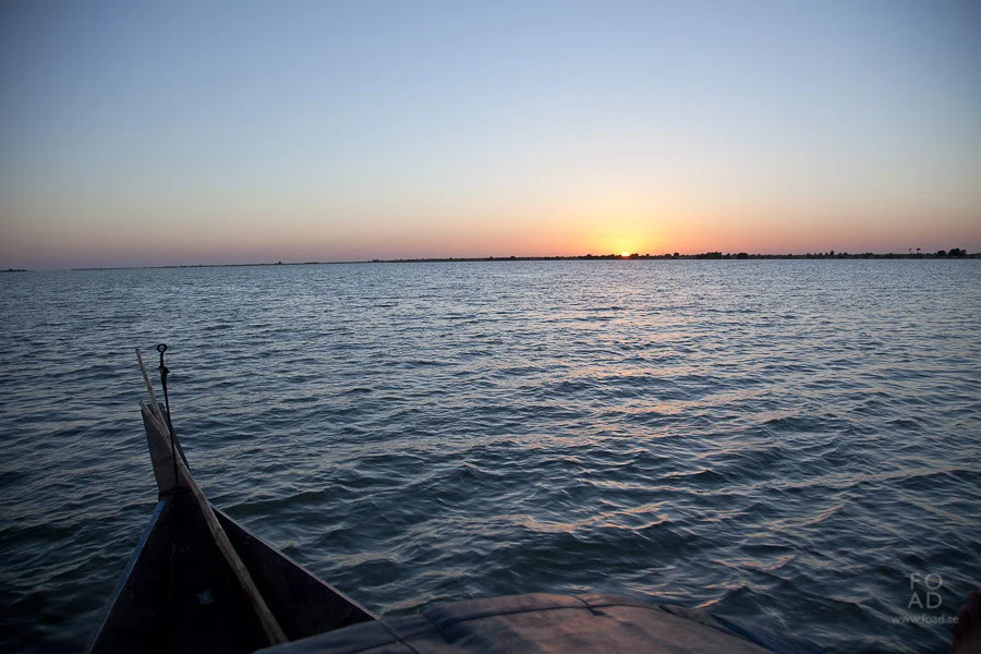 _mg_2673.jpg