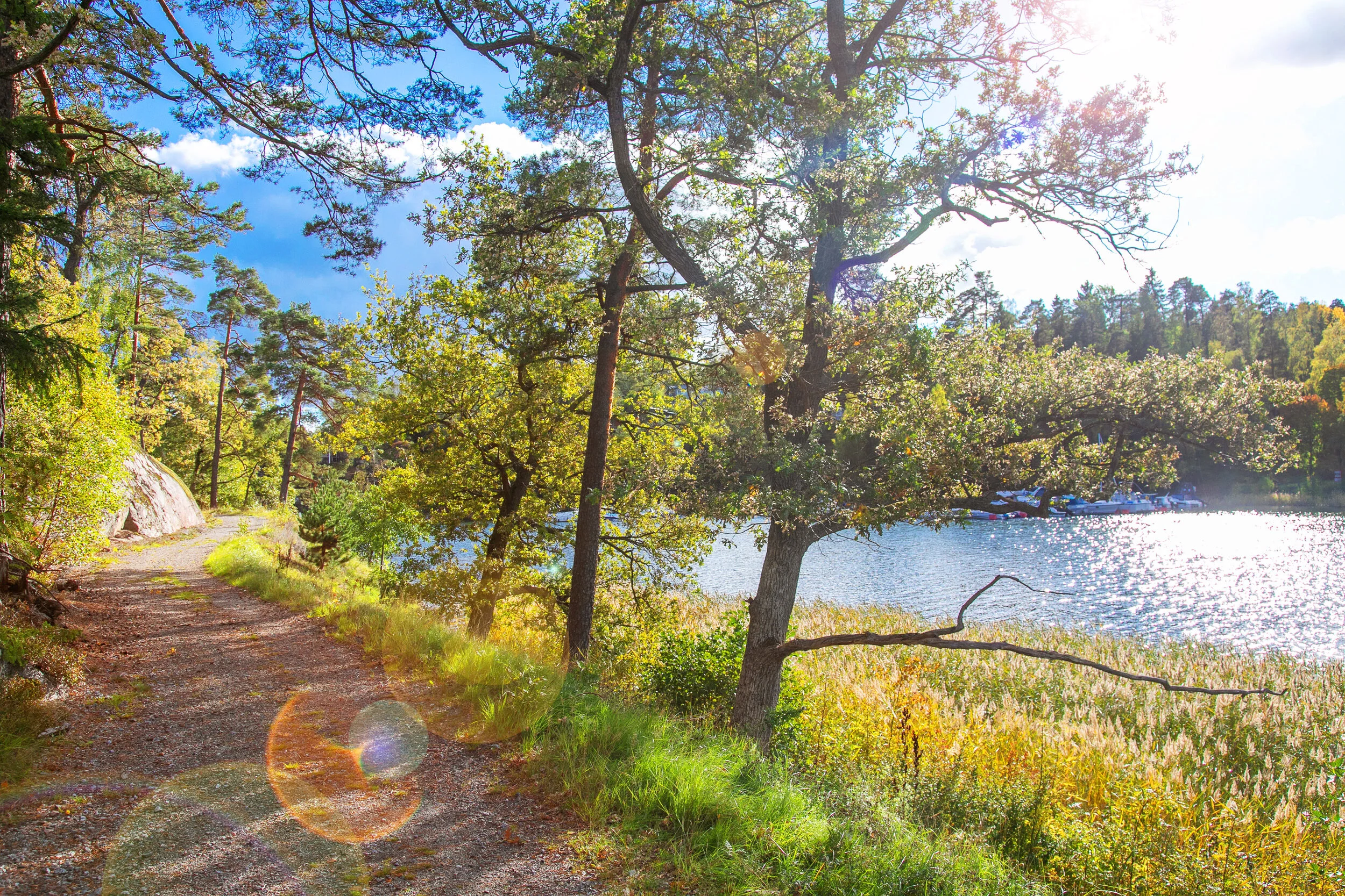W--Kils_Gårdsväg_20B_Natur-7.jpg