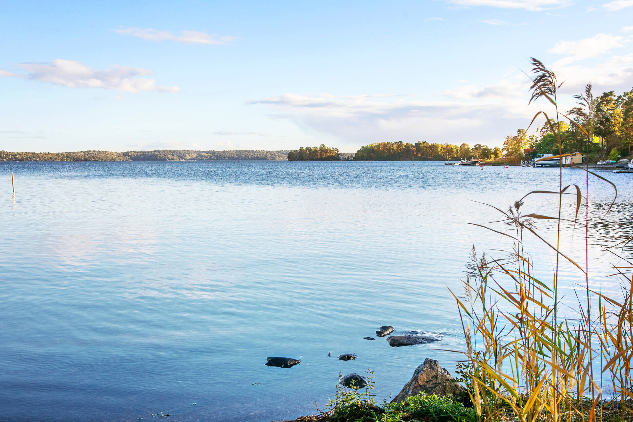 W--Kils_Gårdsväg_20B_Natur-10.jpg