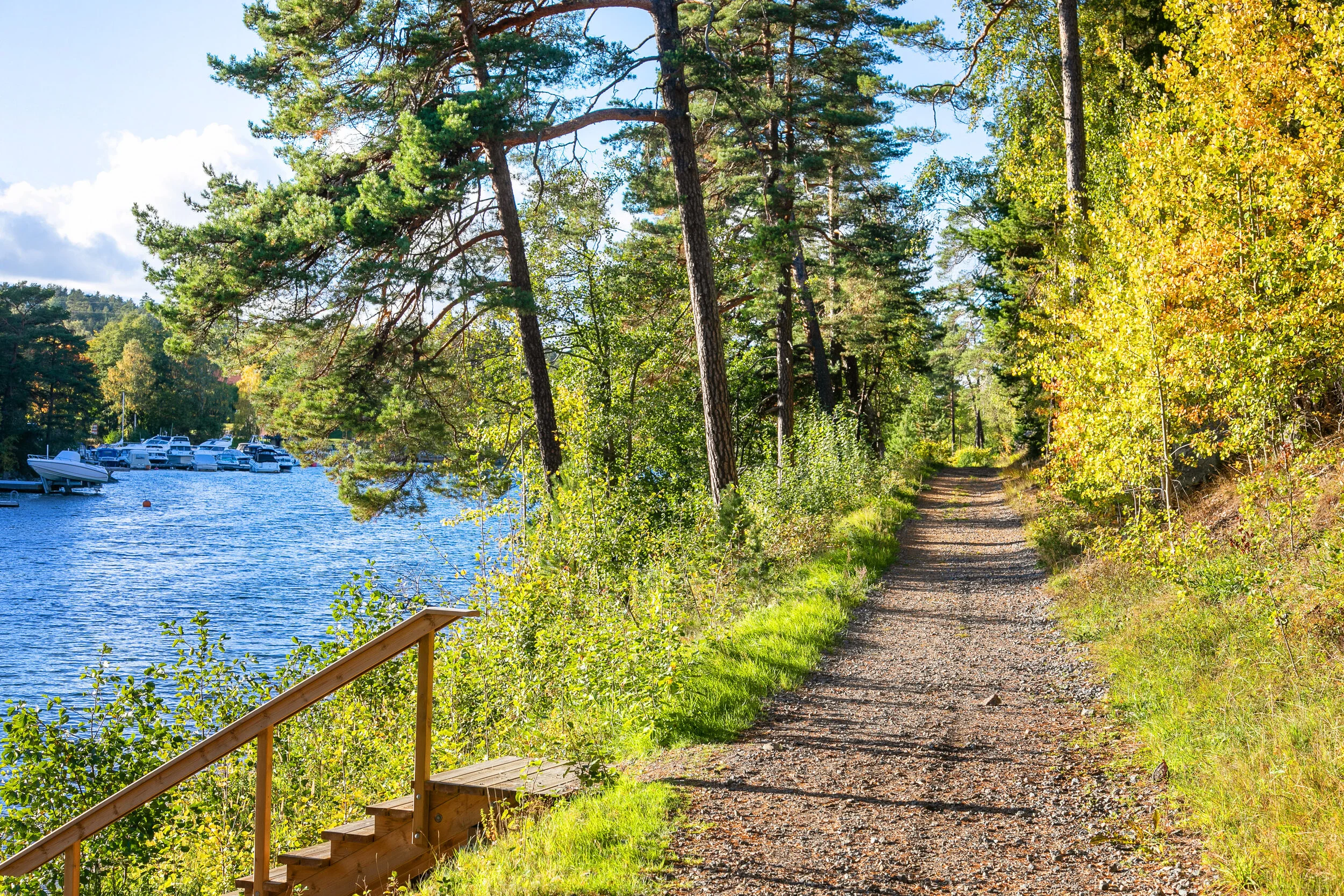 W--Kils_Gårdsväg_20B_Natur-12.jpg
