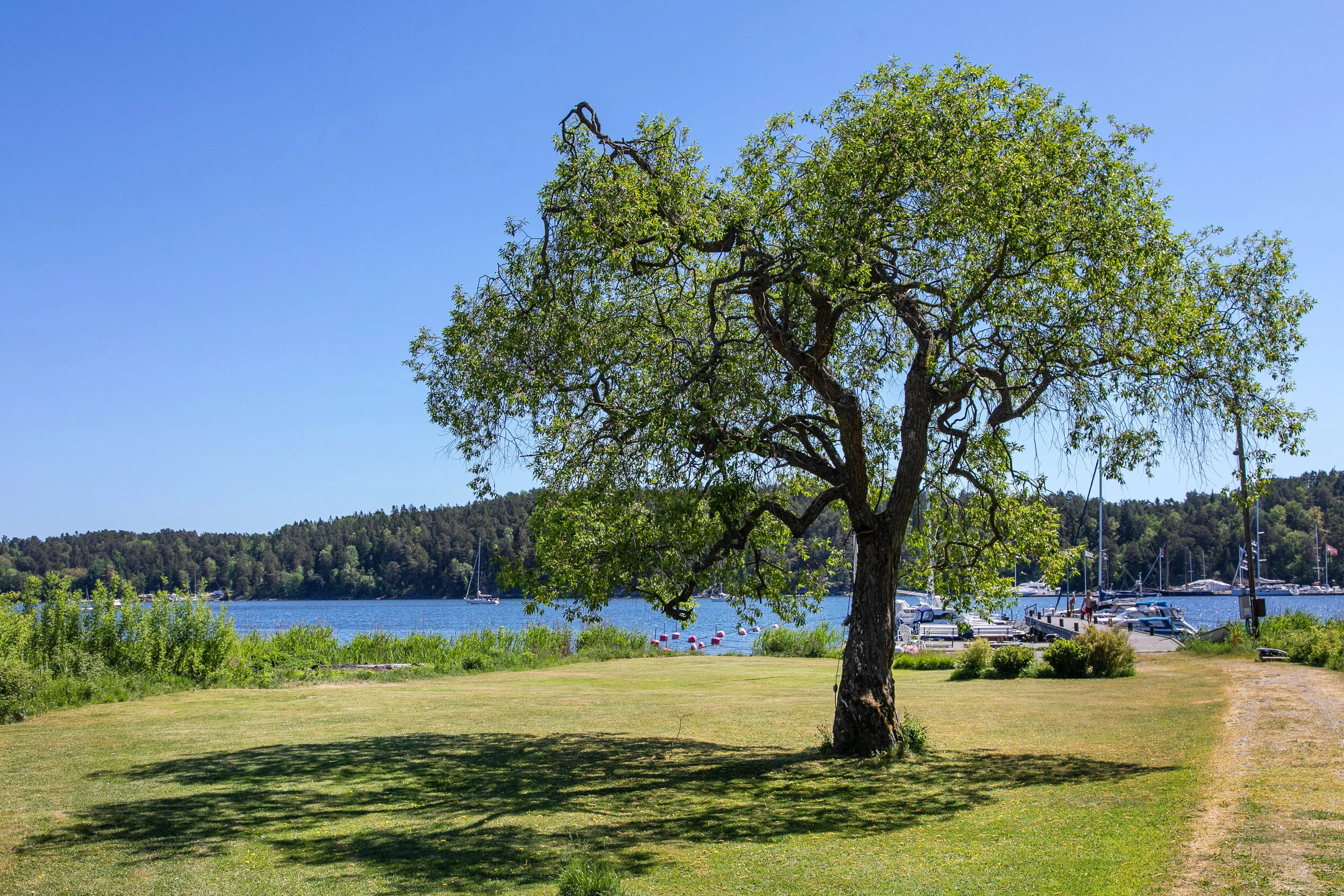 Sjöfararvägen_12-1.jpg