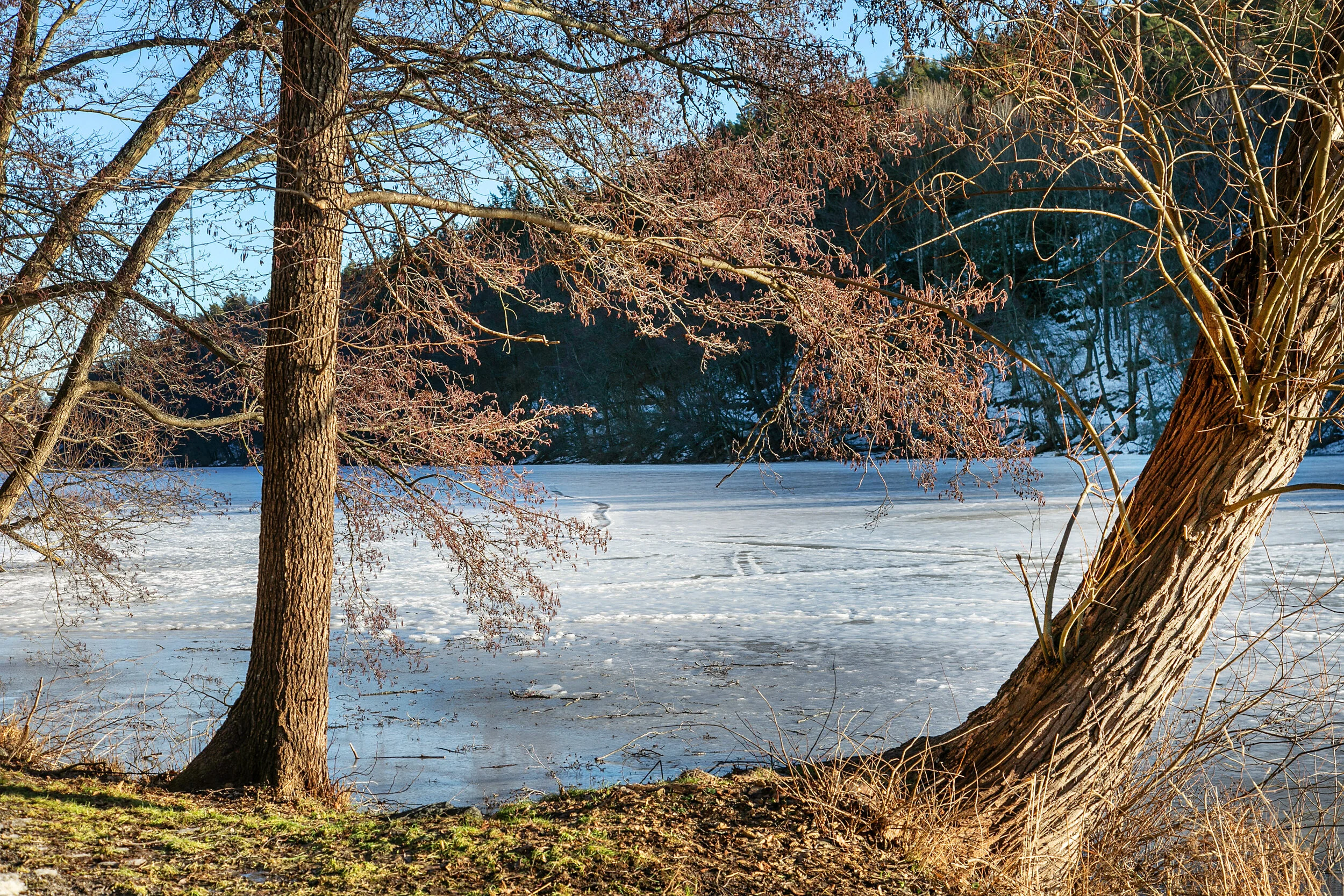 Sickla_Strandväg_7_Område-29.jpg