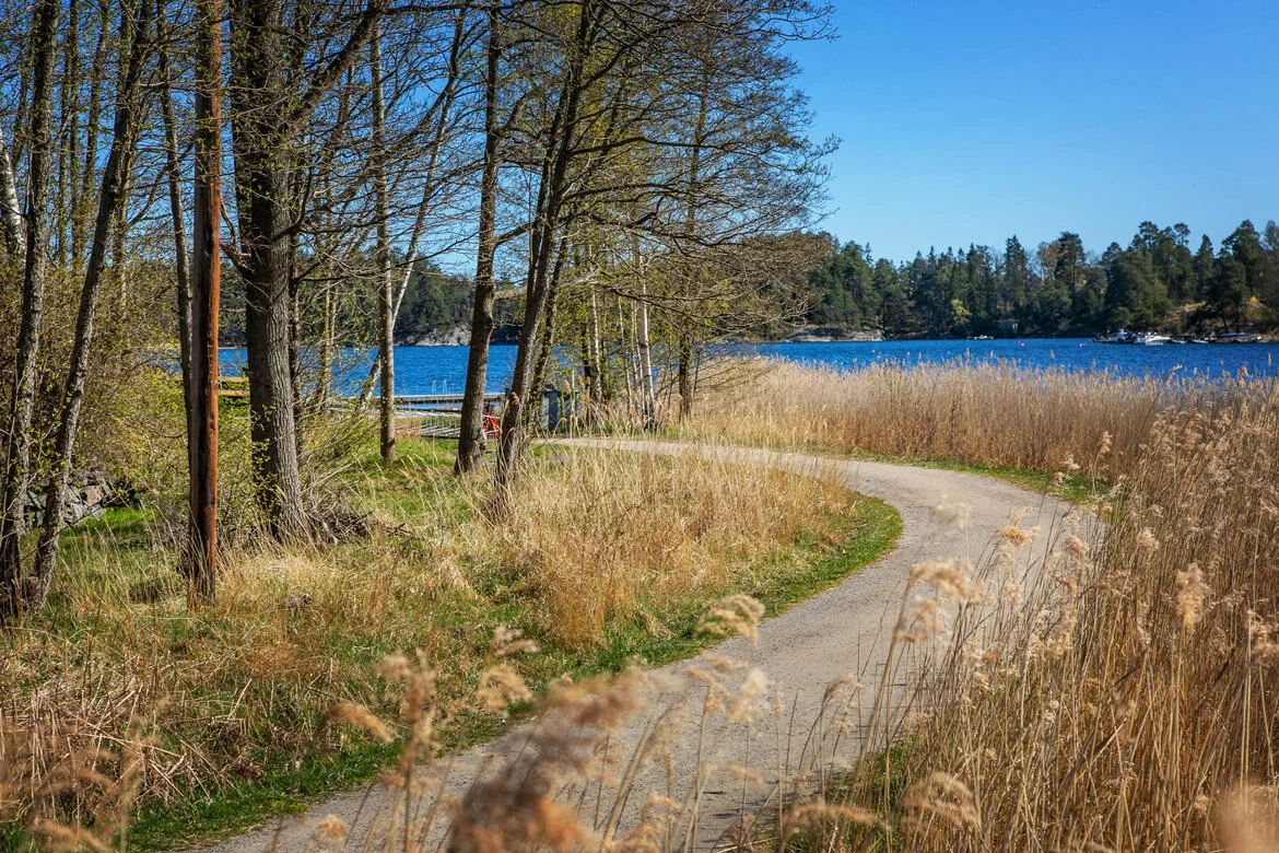 Vildkattensvägen_21-92.jpg