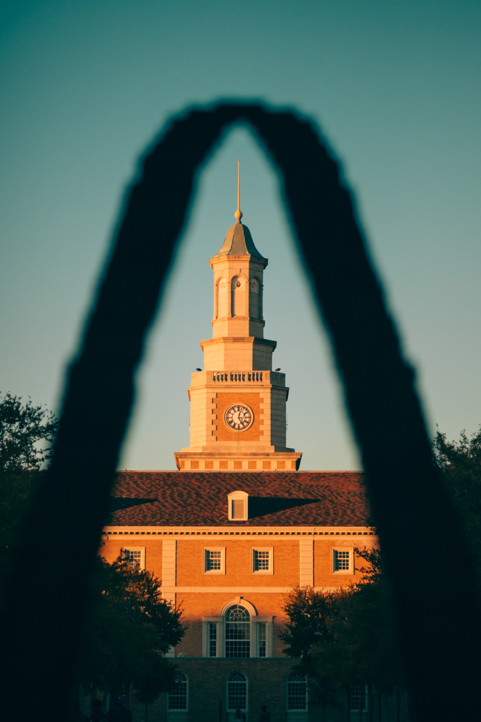 Web 6 (5 of 19).jpg