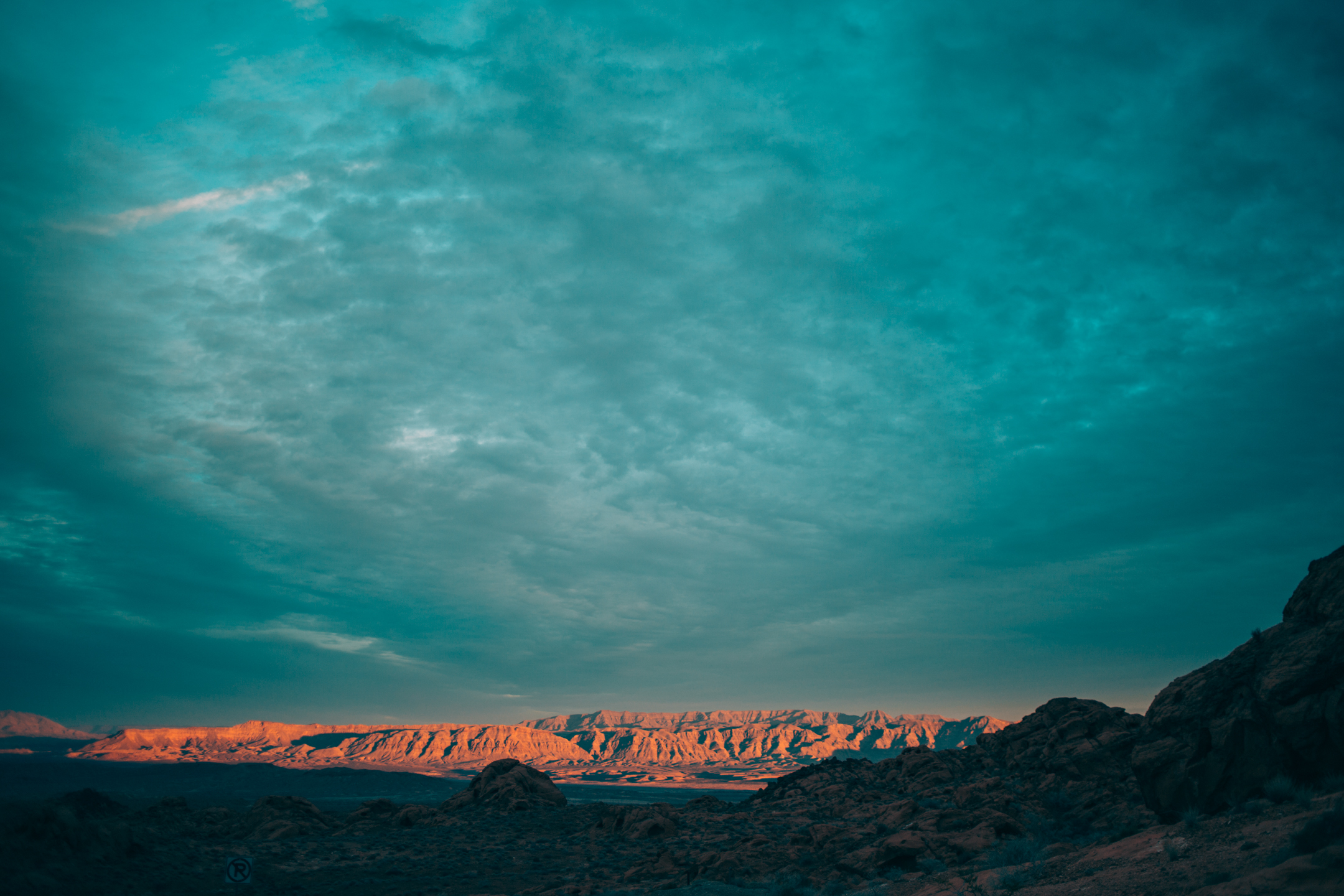 Web 6 (15 of 19).jpg