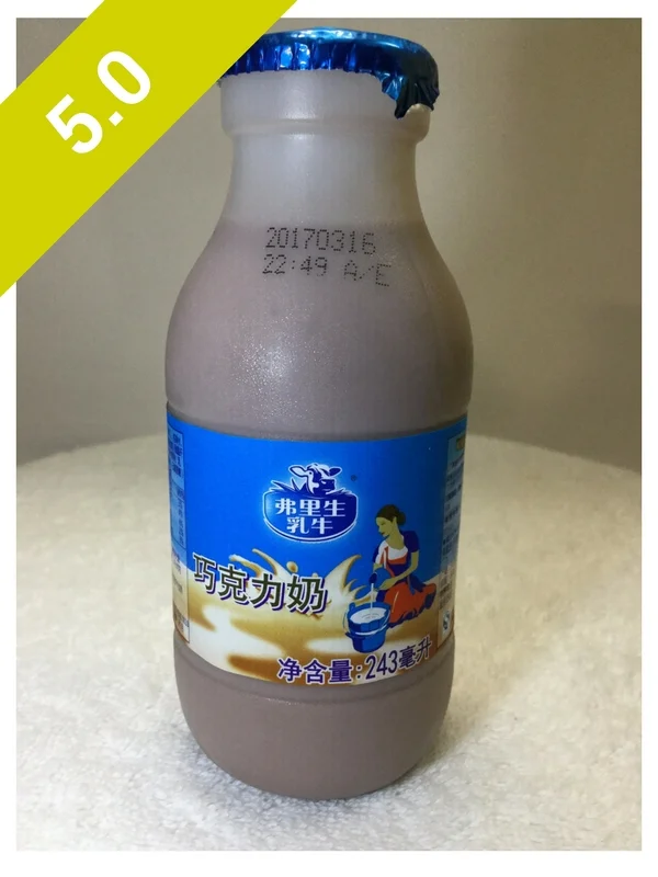 Frisian Cow Chocolate Milk