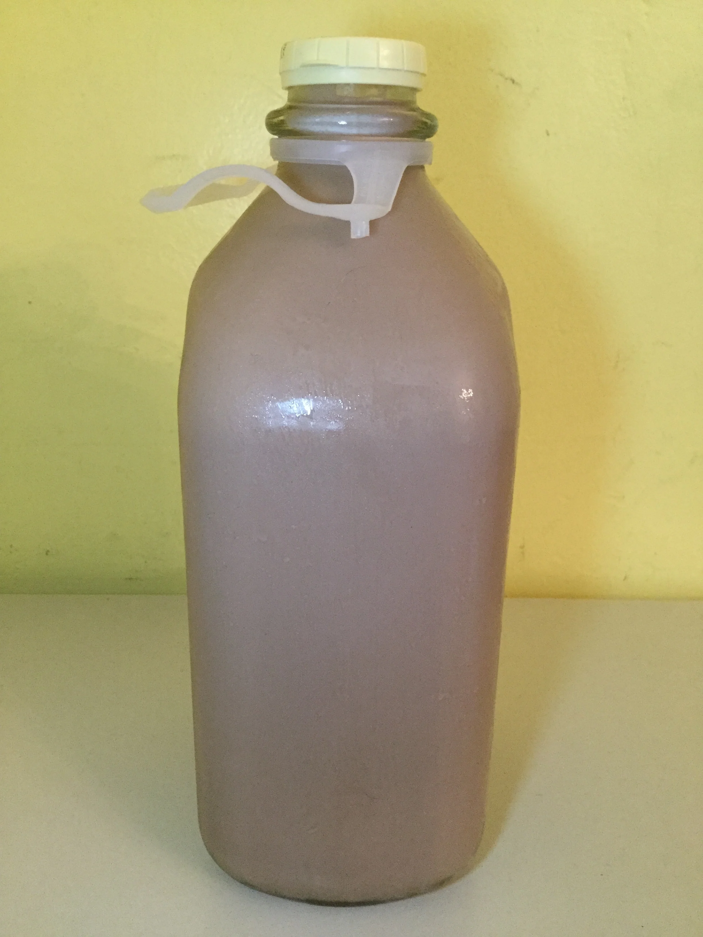 Byrne Dairy Chocolate Milk (1.89L glass) — Chocolate Milk Reviews