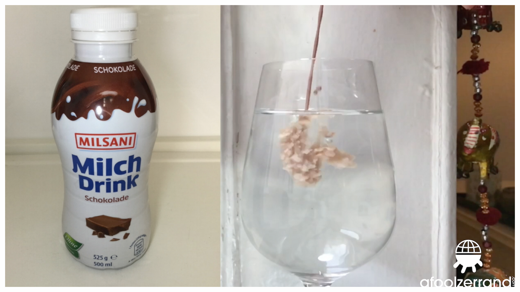 VB#40: Chocolate Milk, Caffeine, Cat Treats, and a Water Test