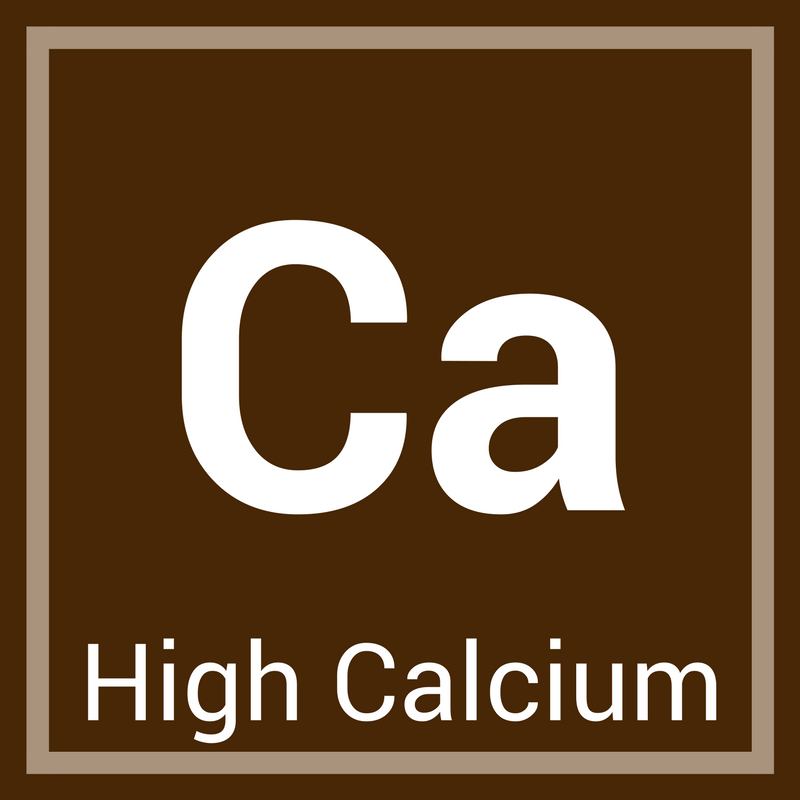 High Calcium Chocolate Milk