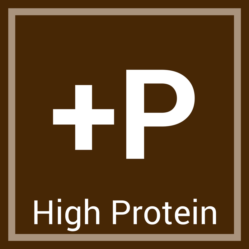 High Protein Chocolate Milk