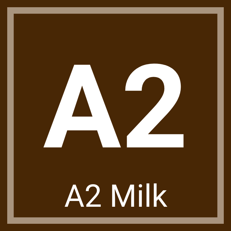 A2 Chocolate Milk