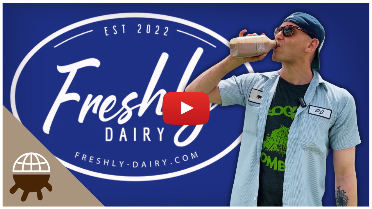 Freshly Dairy Chocolate Milk