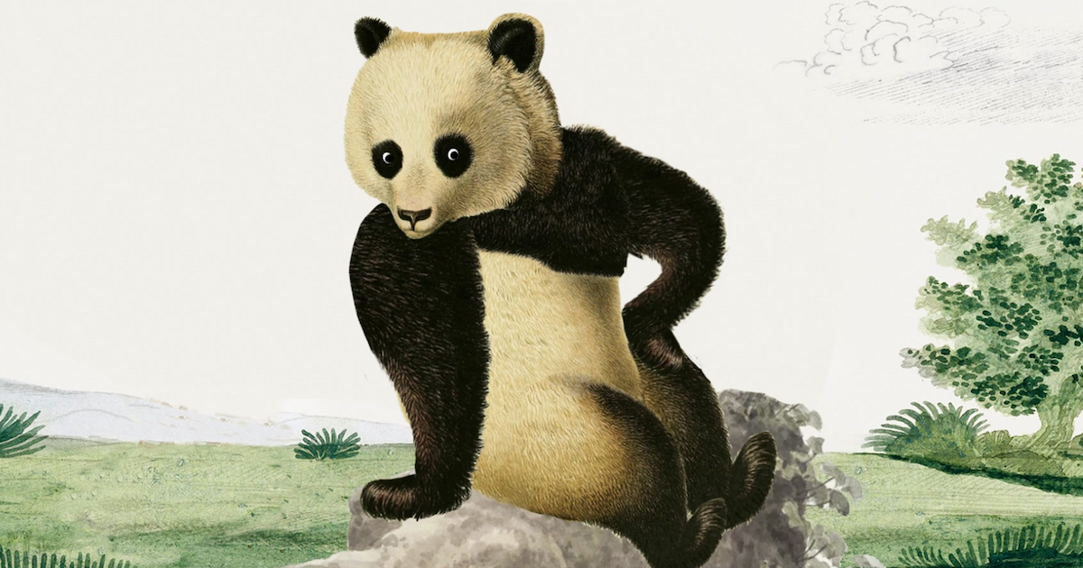 tpfv26.png