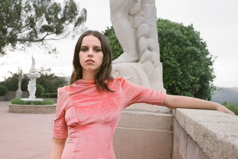 Lauren_PinkVelvetDress_CloseUpStraight_P.jpg