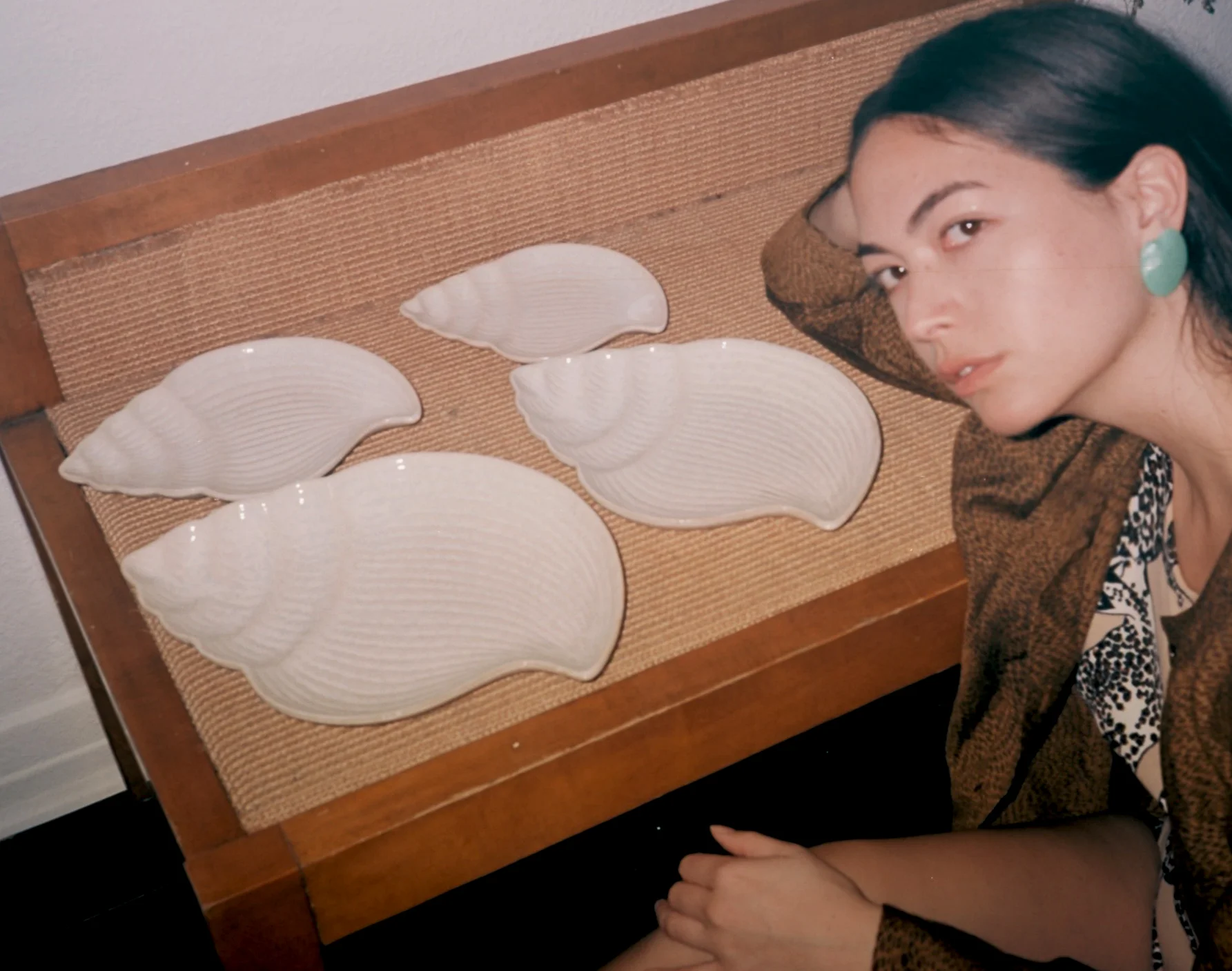 Shellplates2.jpg
