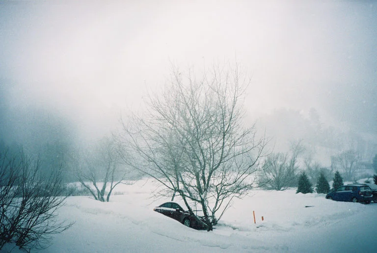 The inside of a snowstorm from our side door