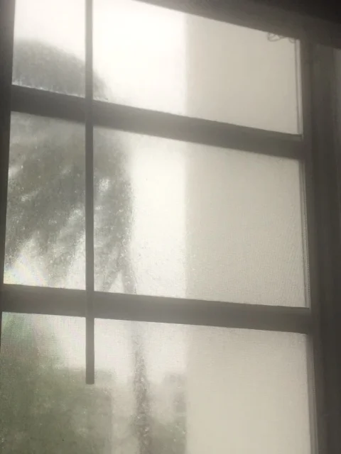 The view during Irma 