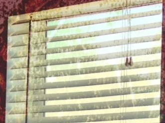 Window%2Bby%2BEnlight%2B%25281%2529.jpg