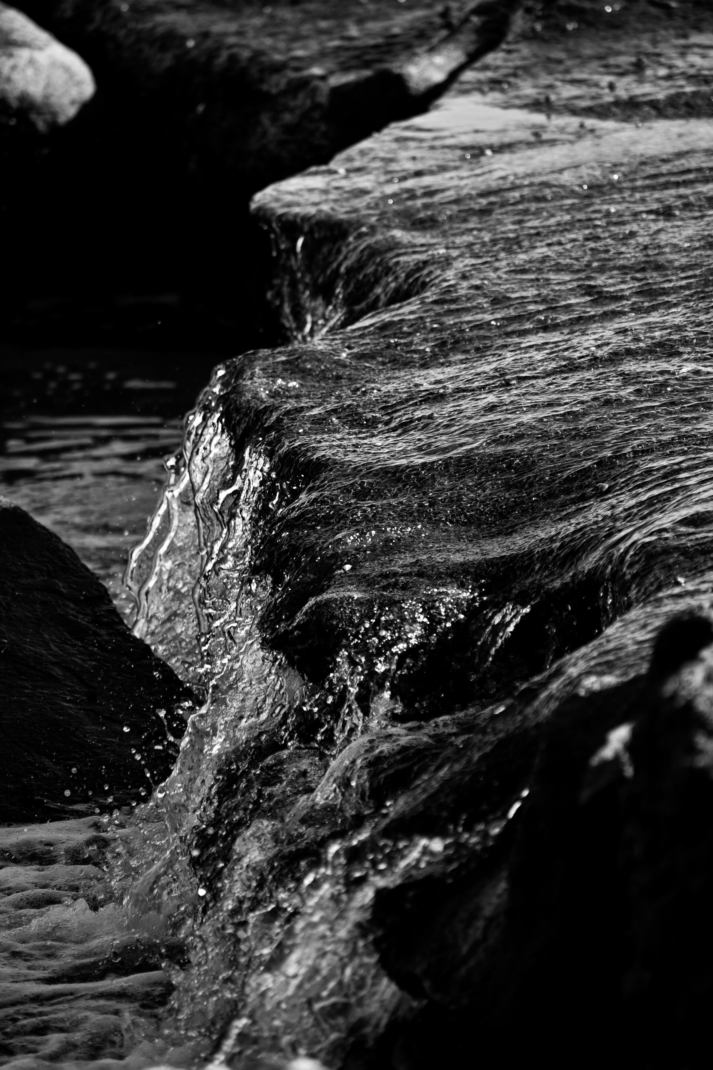 DSC_3295-2.jpg