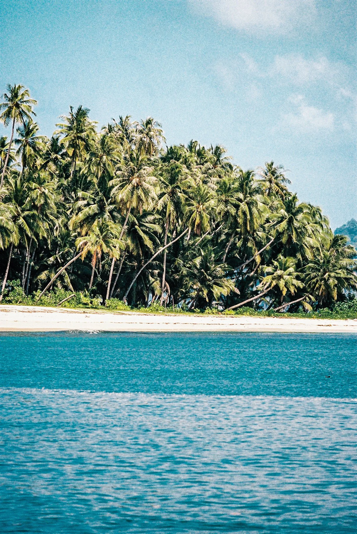 A044710-R4-13-16A.jpg