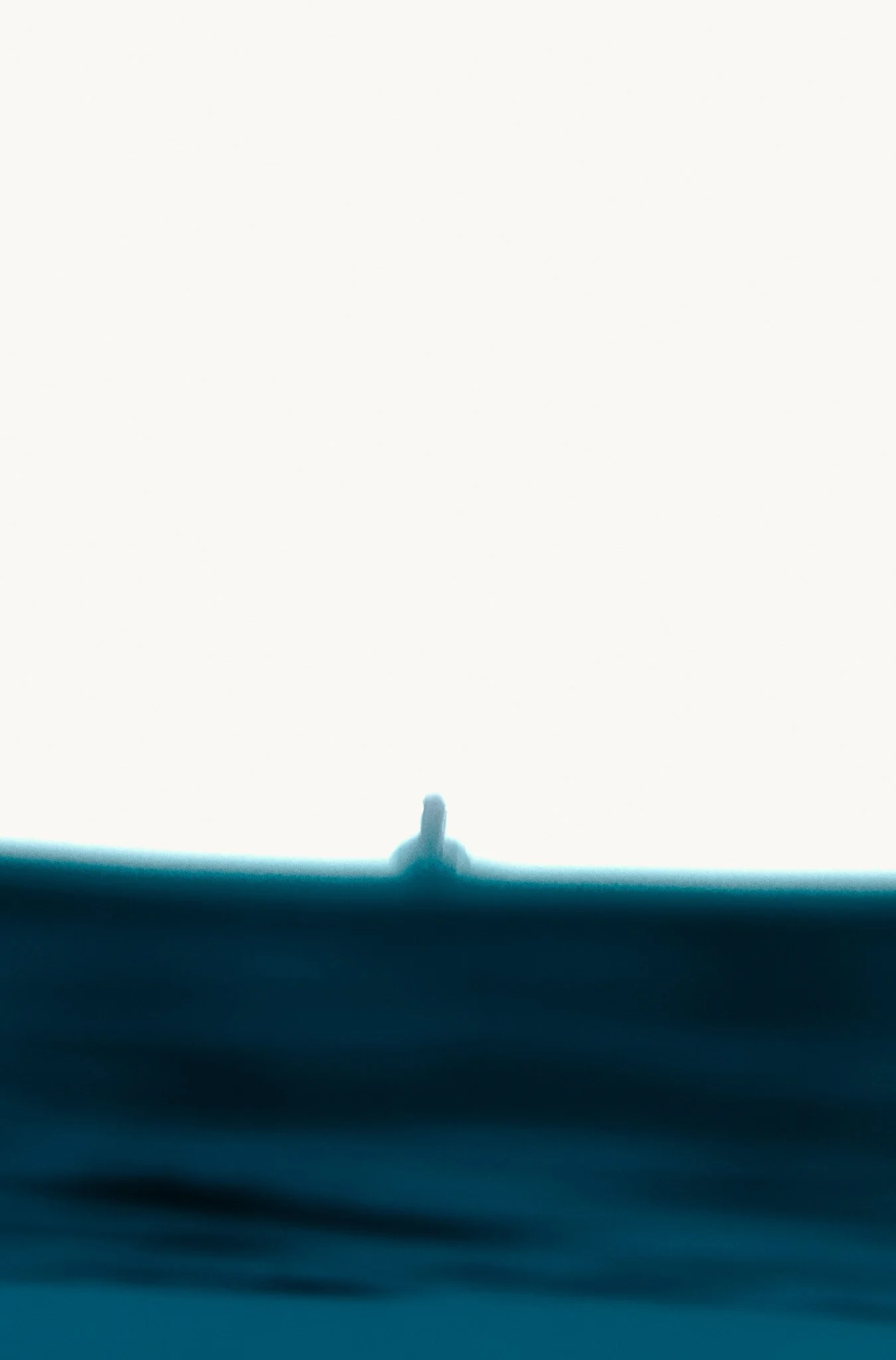 1X7A7820.jpg