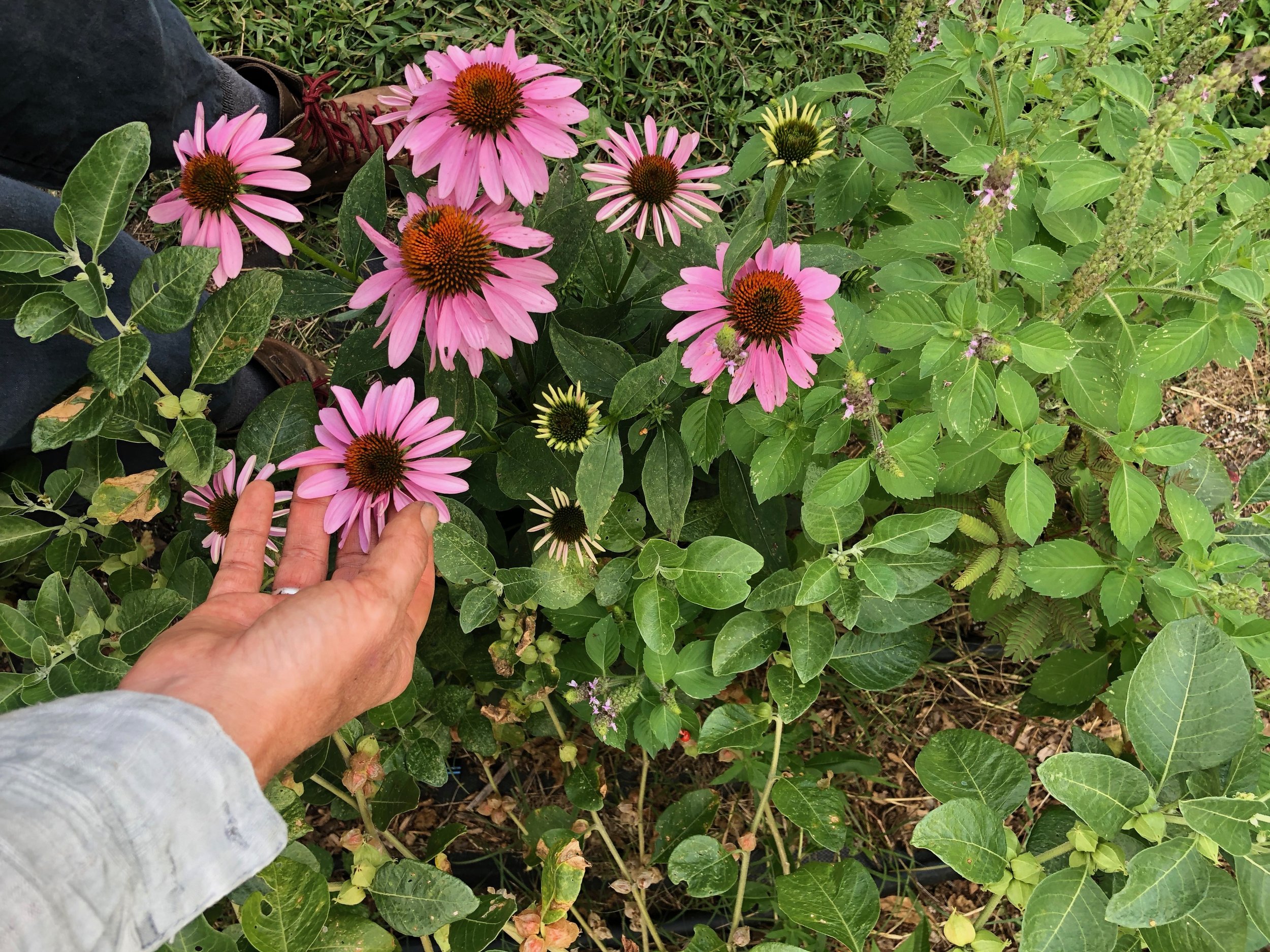 For When You're Under the Weather