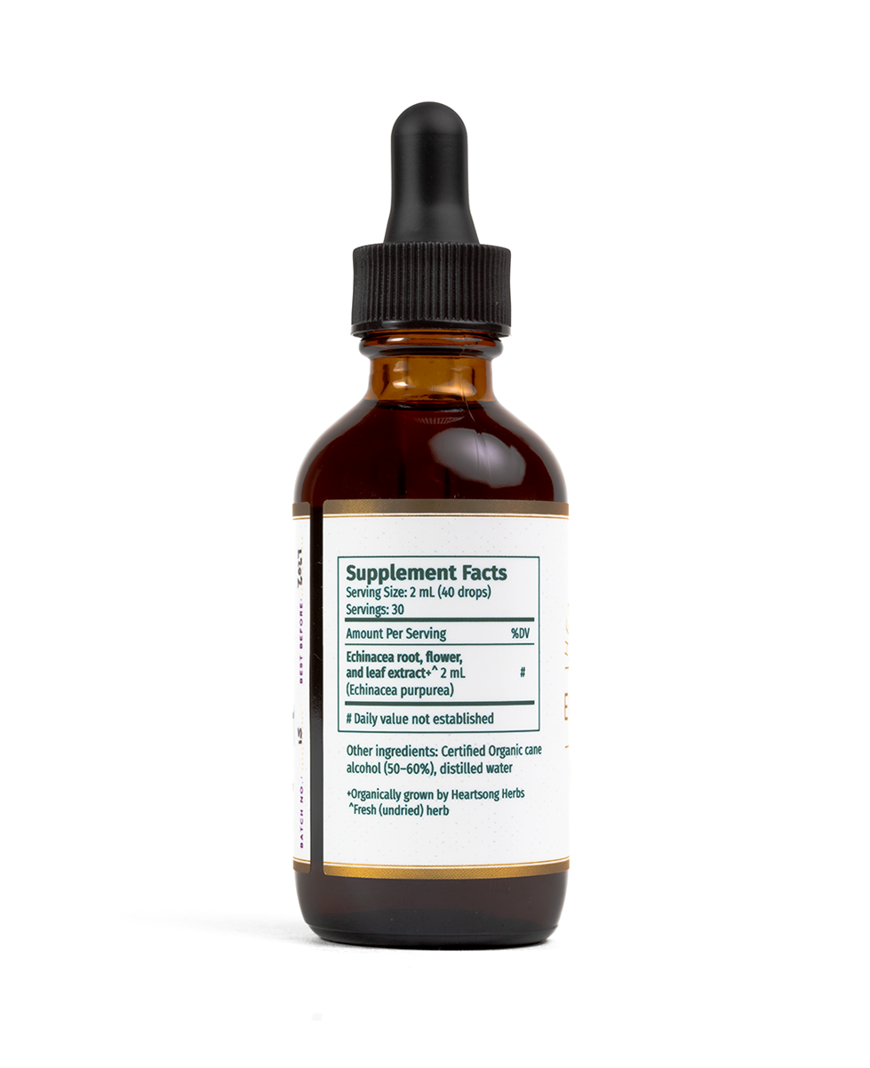 echinacea3.png