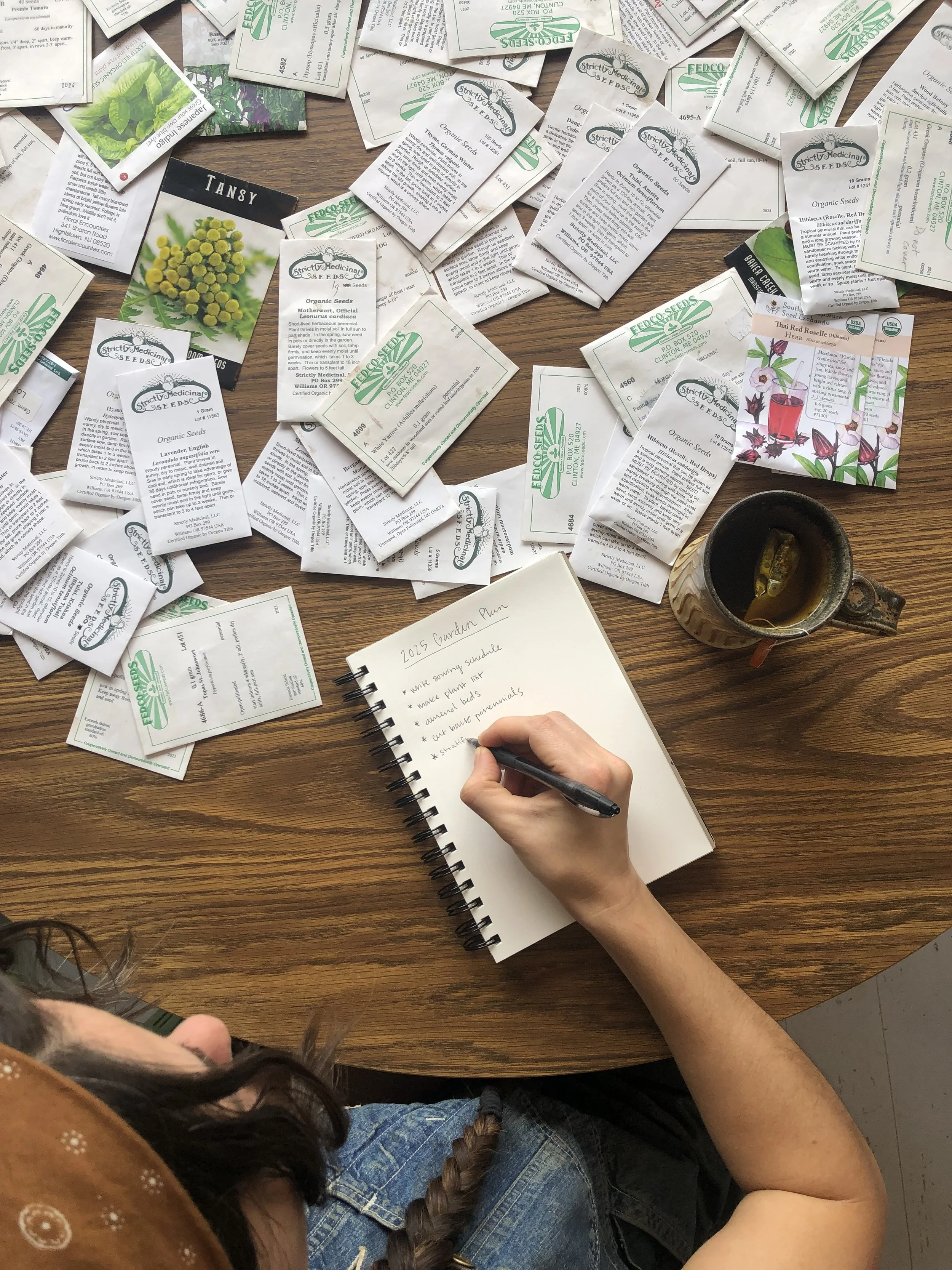 Medicinal Herb Garden Planning