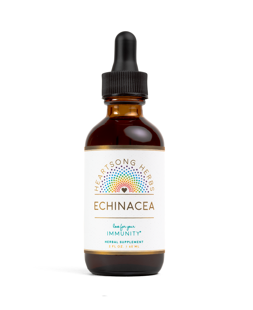 echinacea.png
