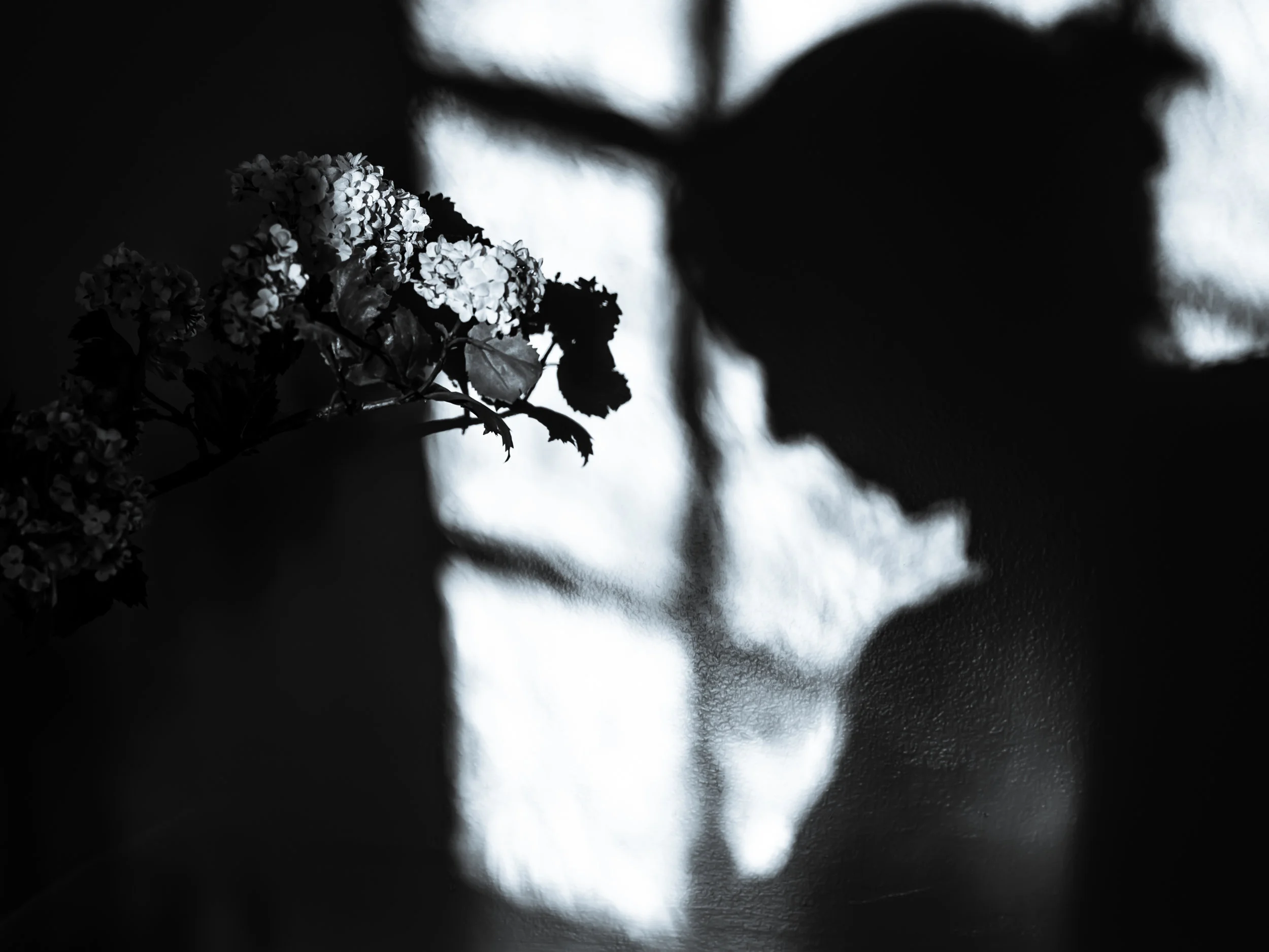 M2460143-Edit.jpg
