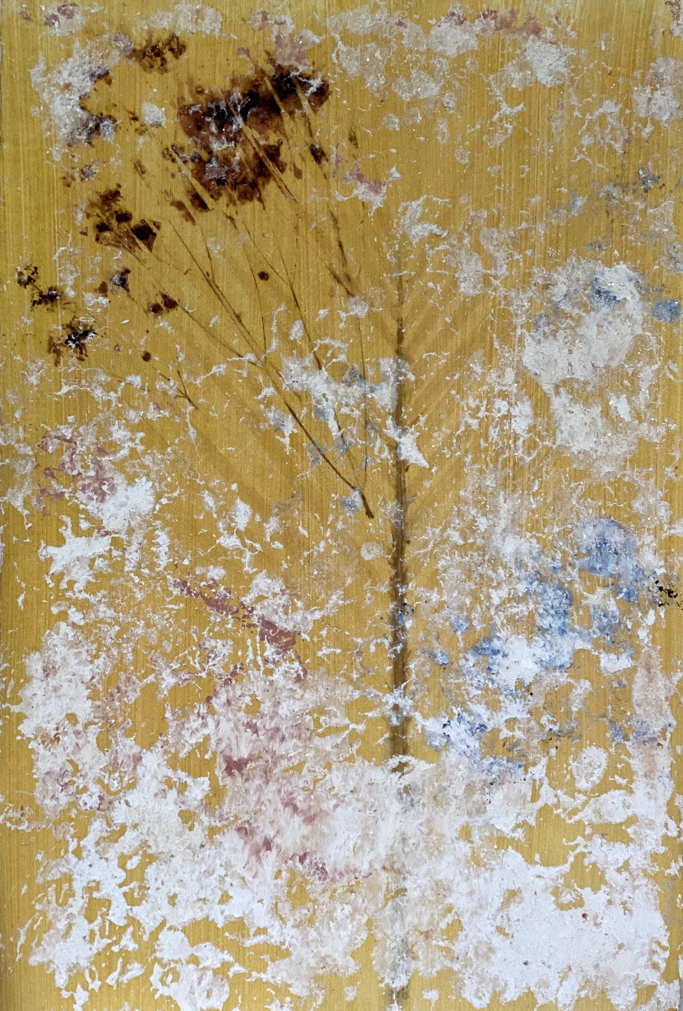 IMG_9240 (1) copy 2.jpeg