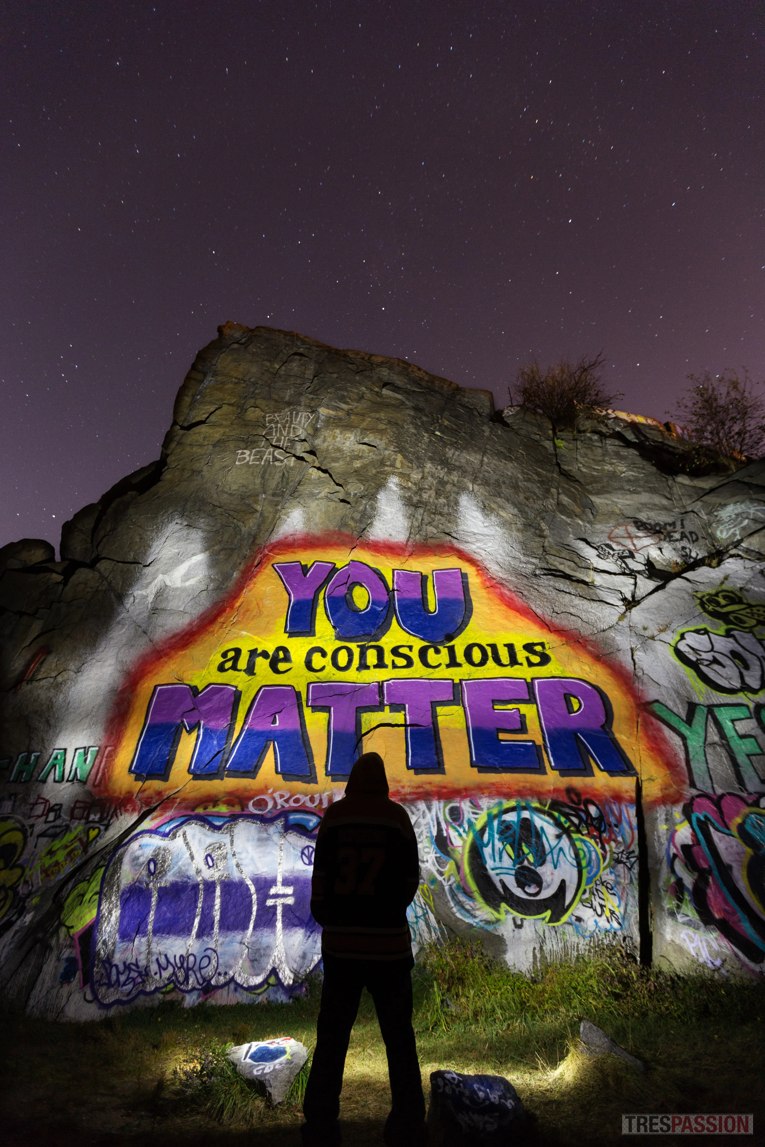 You Are Conscious Matter.jpg