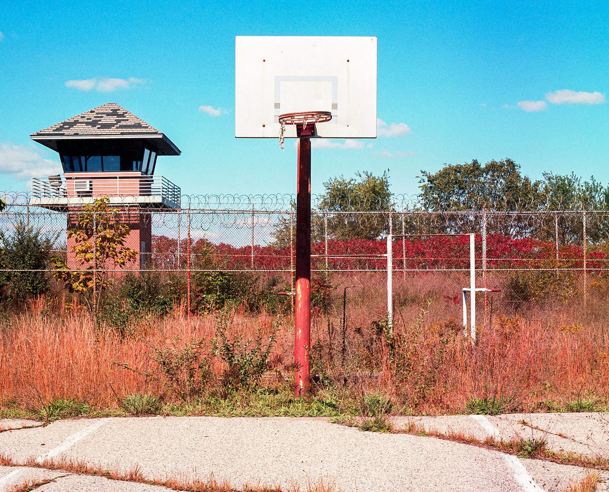  Portra - Mamiya RB67 