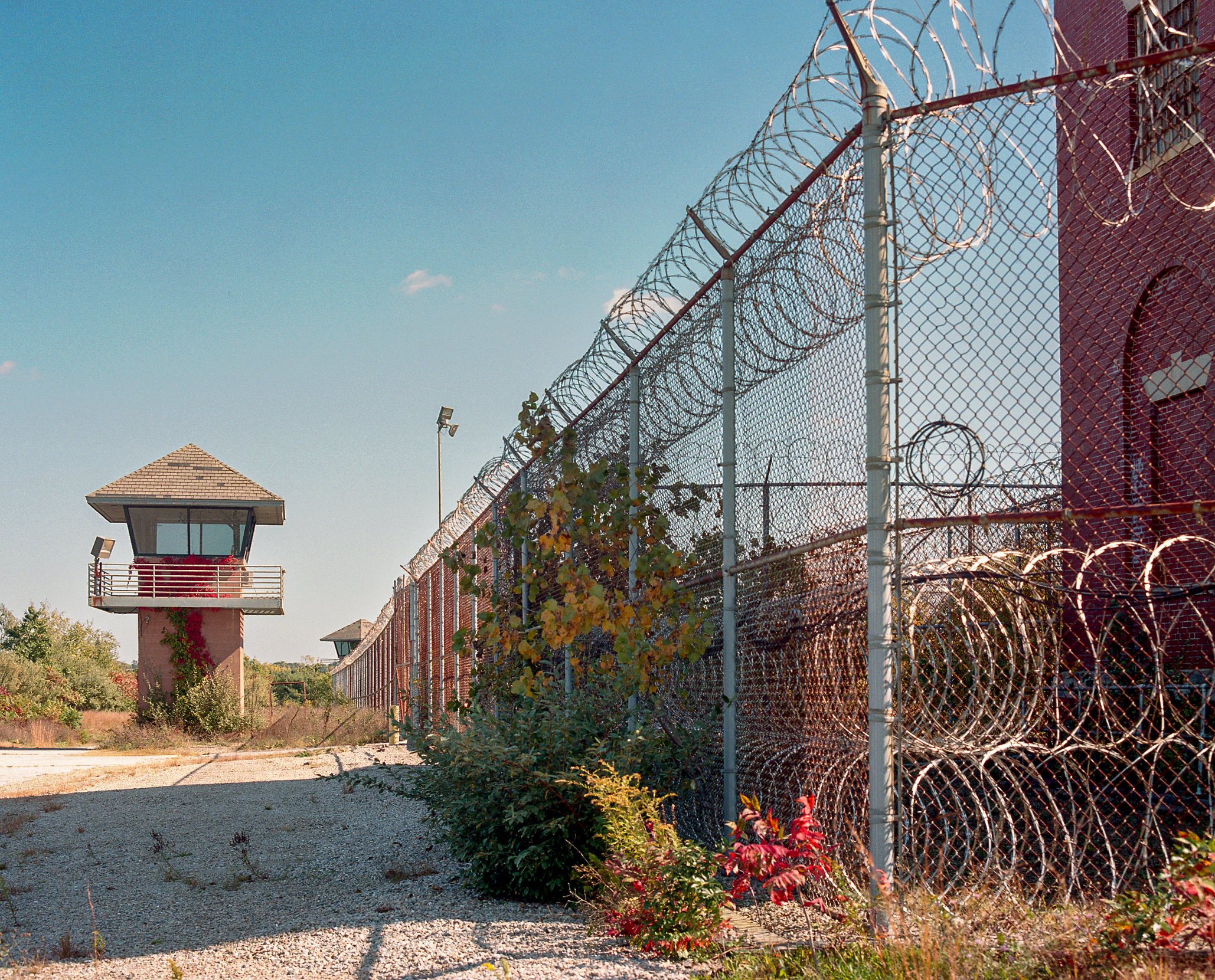  Portra - Mamiya RB67 