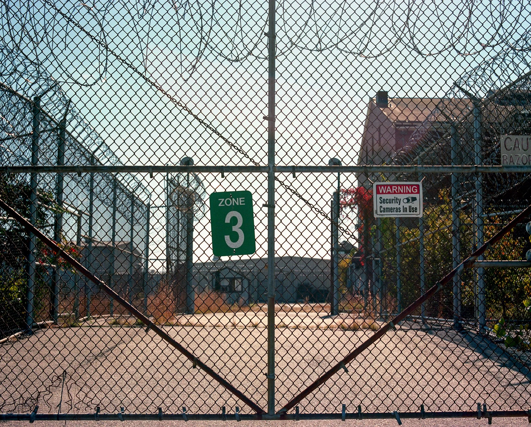  Portra - Mamiya RB67 