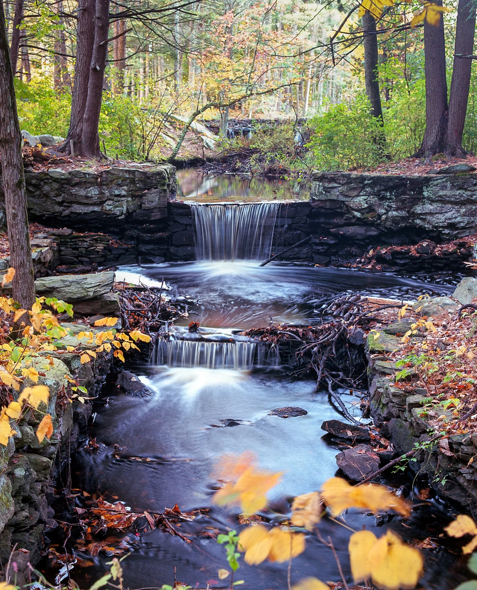  Portra - Mamiya RB67 