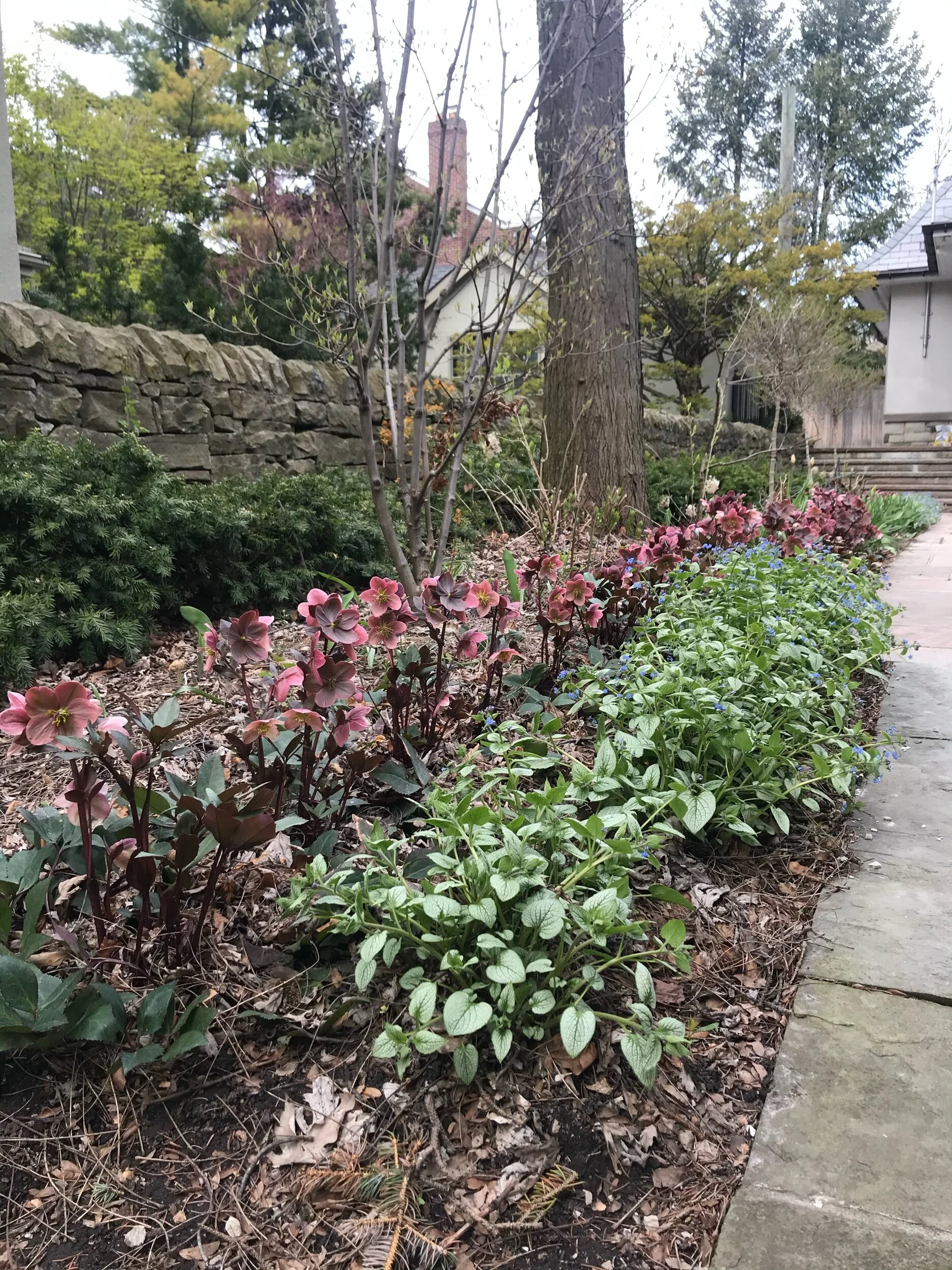 AFTER - EARLY SPRING COLOUR