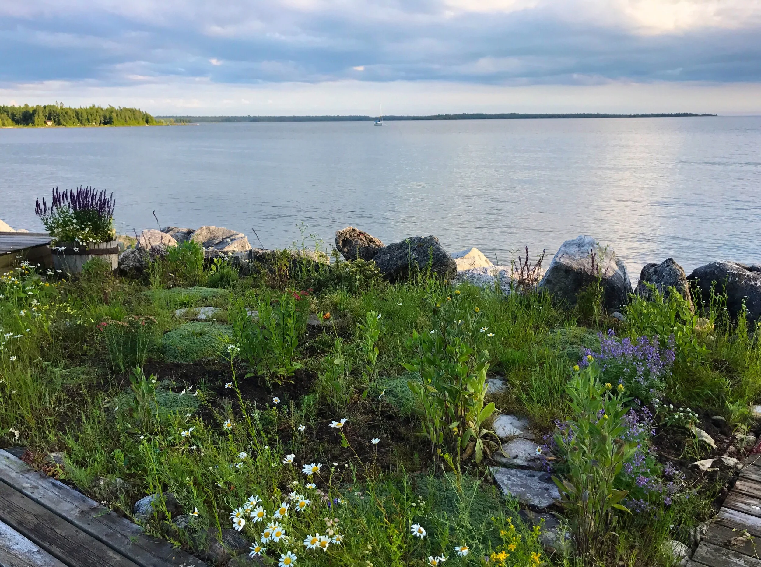 The Dock Garden