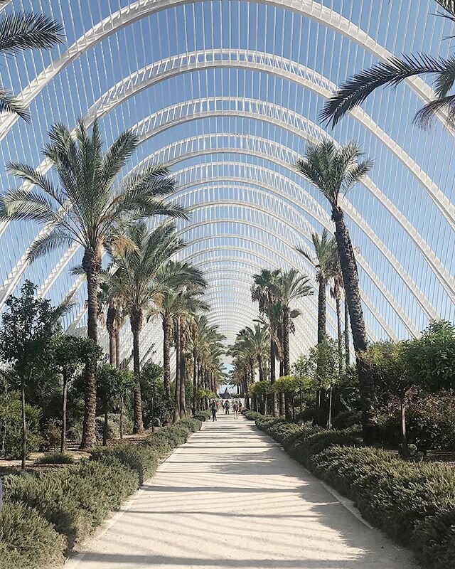 L'Umbracle -
Part of the Ciutat de les Arts i les Ciències complex in Valencia, Spain, is a sculpture garden and landscaped walk with plant species native to Valencia (such as rockrose, lentisca, romero, honeysuckle, bougainvillea, and palm trees). 