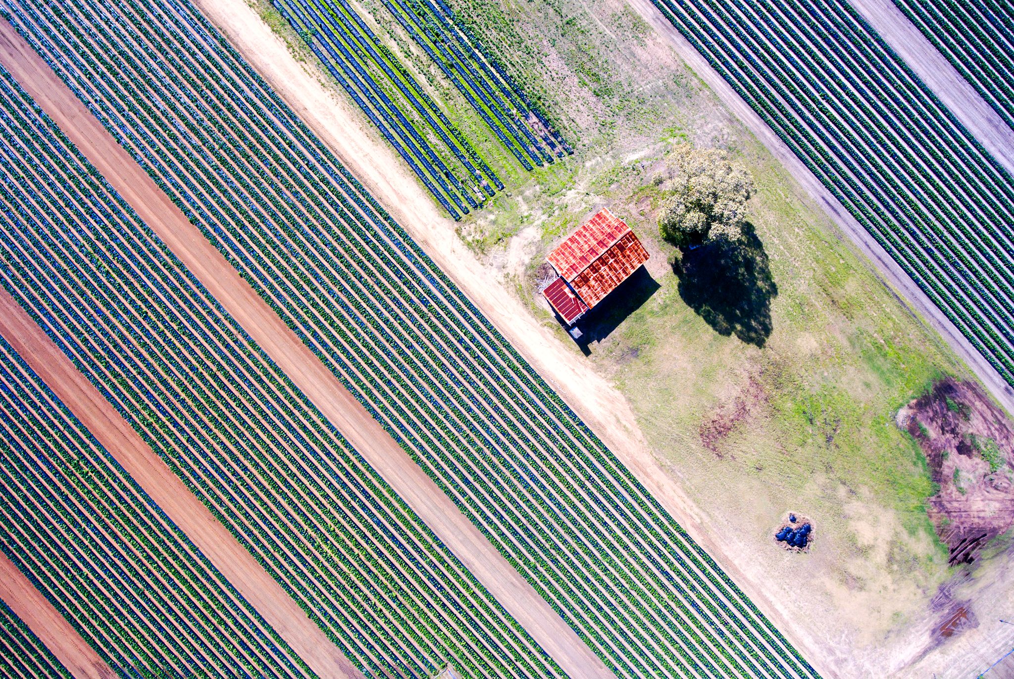 DJI_0334.png