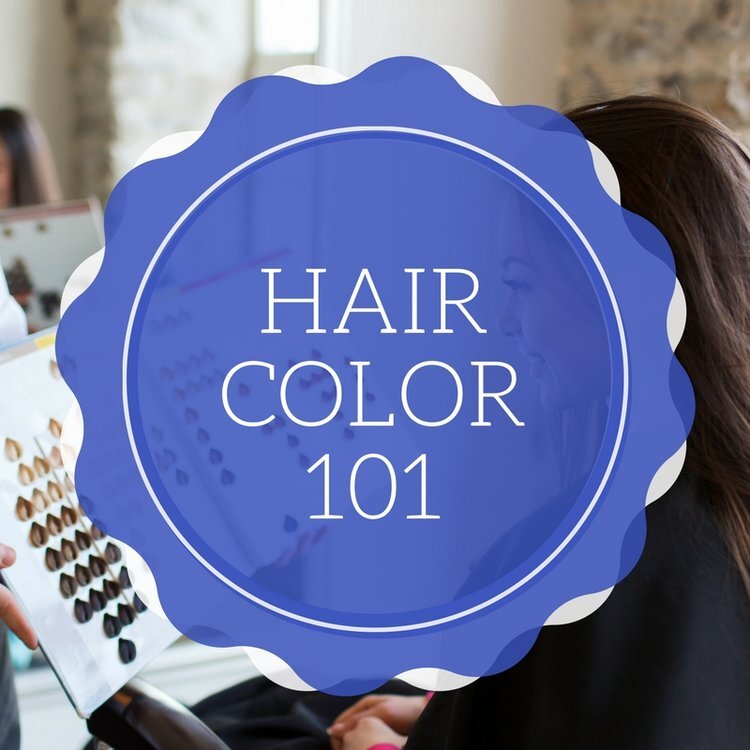 Master Hair Color 101 — Illinois Beauty CEU