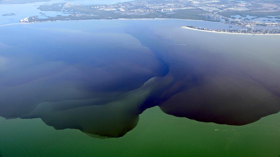 LAKE OKEECHOBEE DISCHARGES INTO THE CALOOSAHATCHEE CREEP OUT TO SANIBEL AND FORT MYERS BEACH. SOURCE: facebook.com/CaptainsForCleanWater