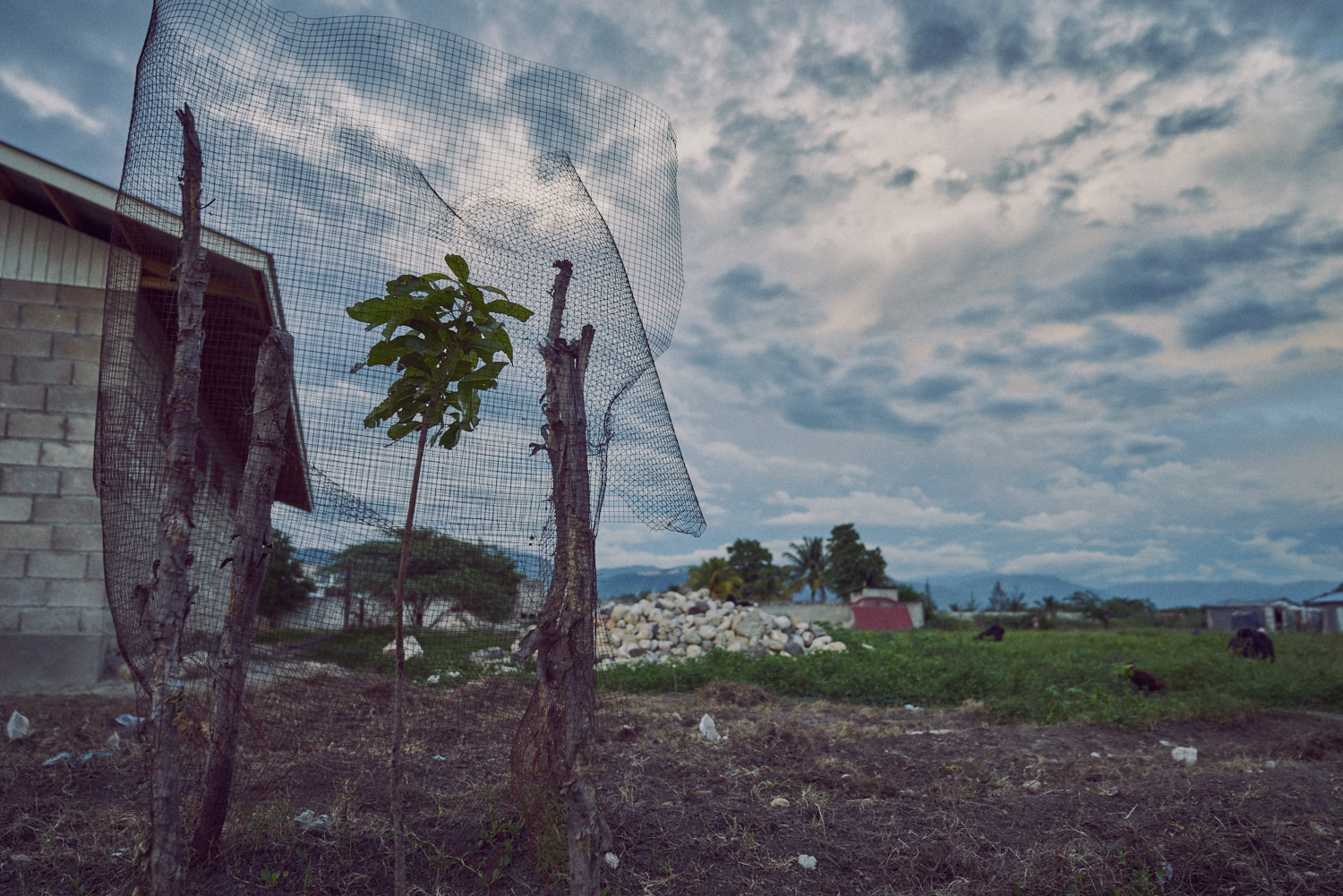 AMVISUALS-Haiti-2016-Print_DSC1960.jpg