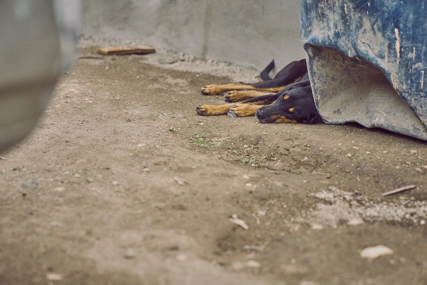 AMVISUALS-Haiti-2016-Print_DSC0555.jpg