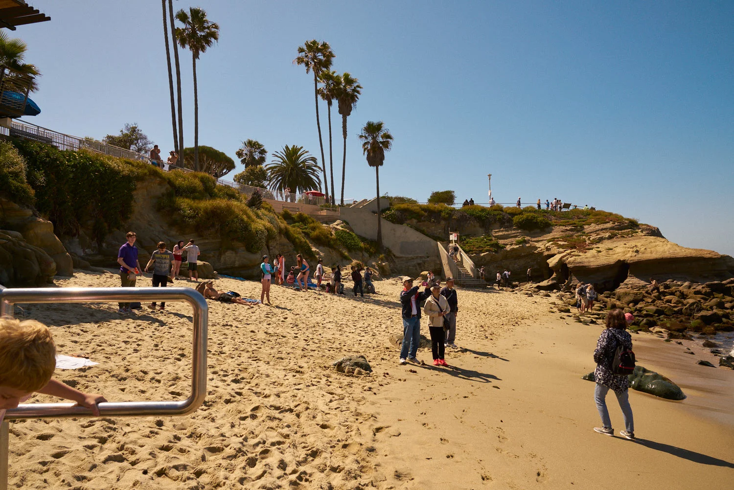 AMVISUALS-San-Diego-Sea-Lions-2019-2.jpg