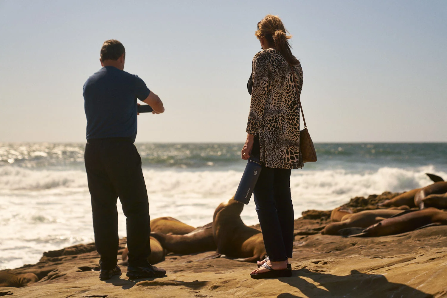 AMVISUALS-San-Diego-Sea-Lions-2019-33.jpg