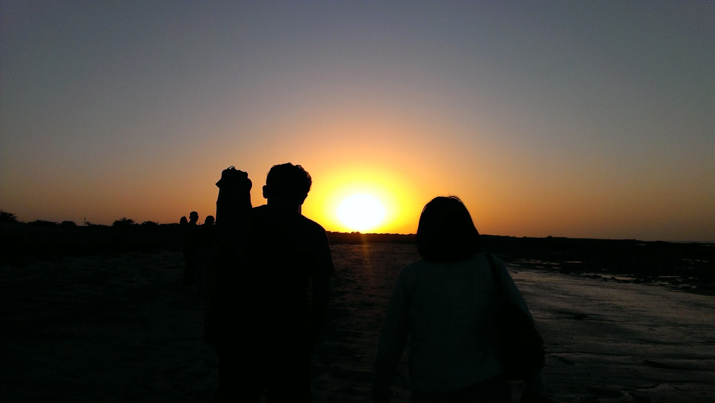 IMAG0233.jpg