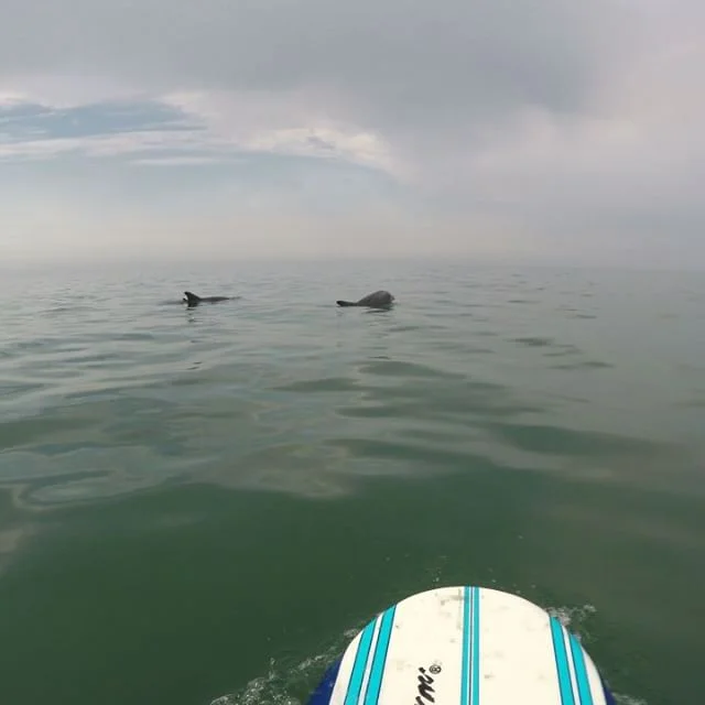 Ventura Surf Lessons Ventura Surf Lessons