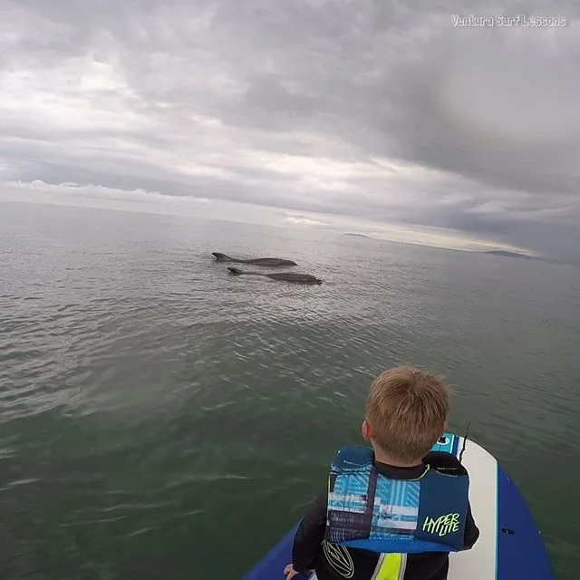 Ventura Surf Lessons Ventura Surf Lessons
